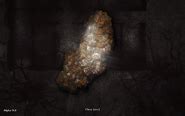 shiny stone darkwood|Iba pa.